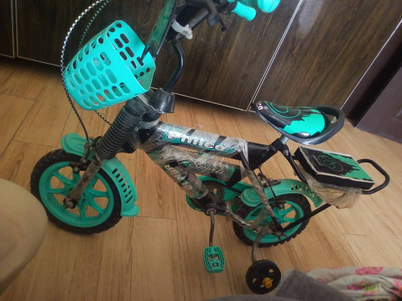 New cycle 2