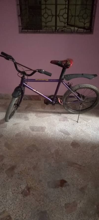 Good conditions byecycle