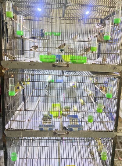 Cage (sliding partetion)
