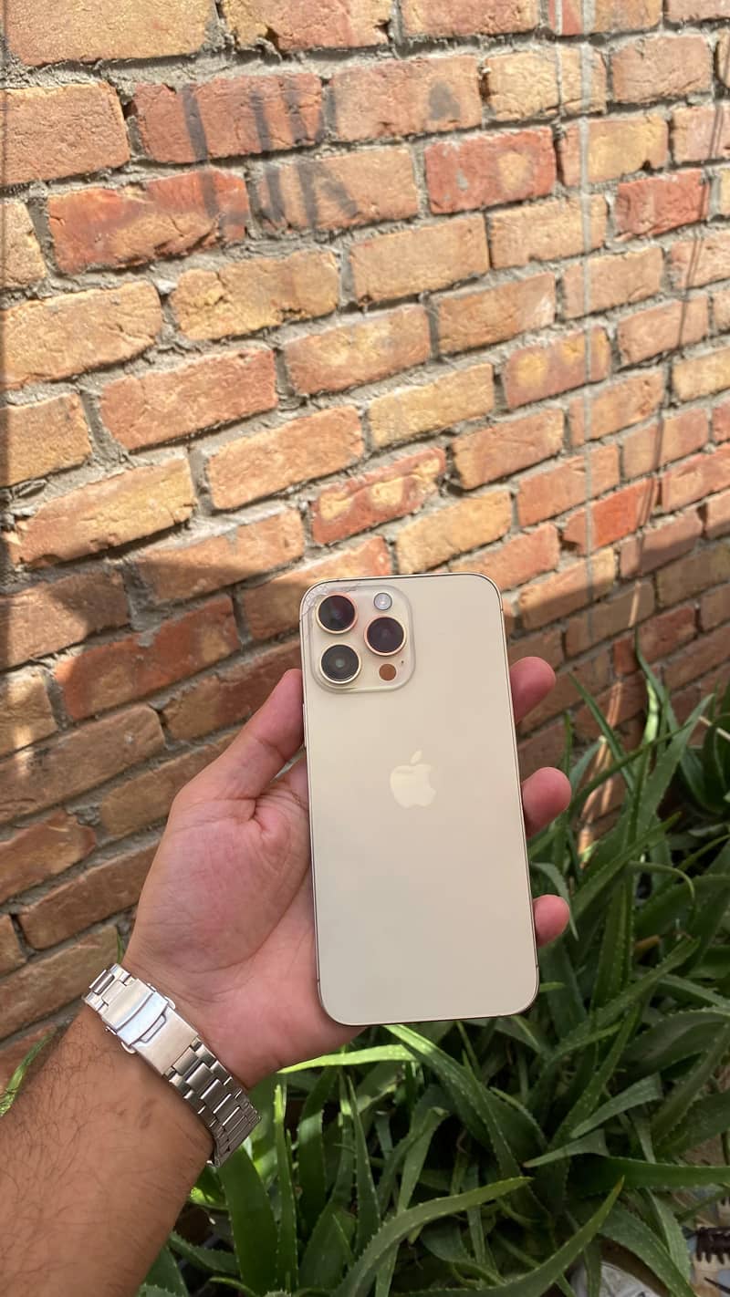 Apple iPhone 14 Pro Max 0