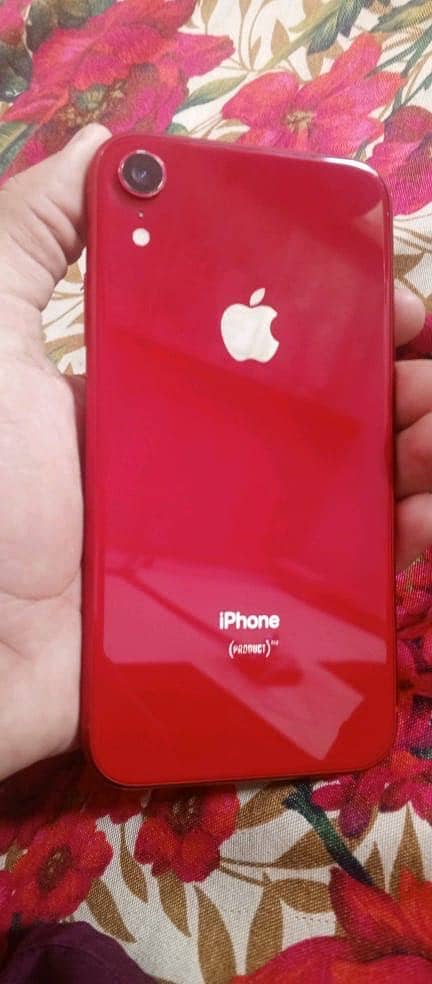Apple iPhone XR 5