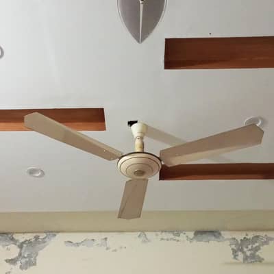 Selling Ceiling Fans all in good working condition.