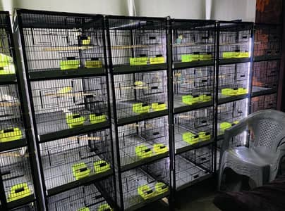 Bird Cages | Spot Welded | Deep Tray |