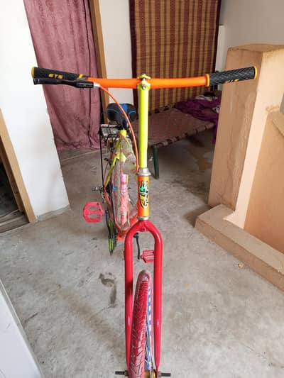 Phoenix Cycle
