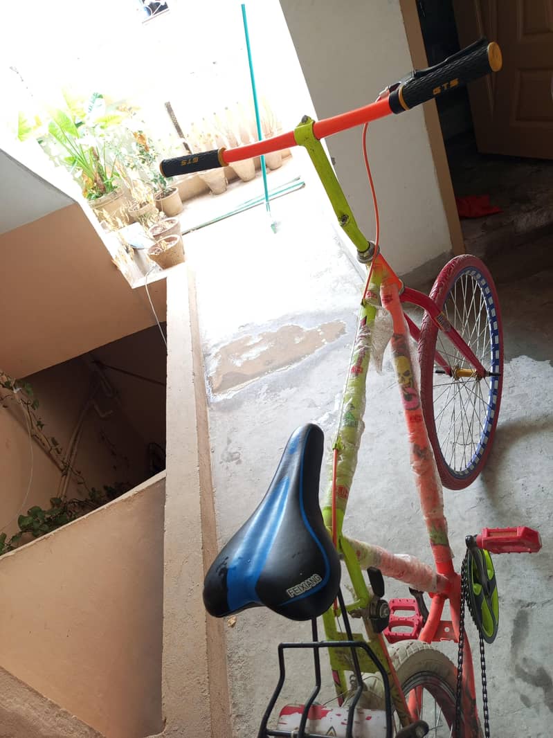 Phoenix Cycle 2