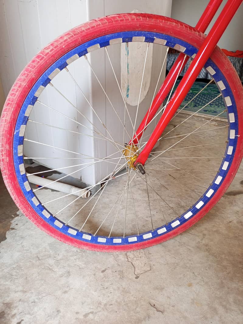 Phoenix Cycle 4