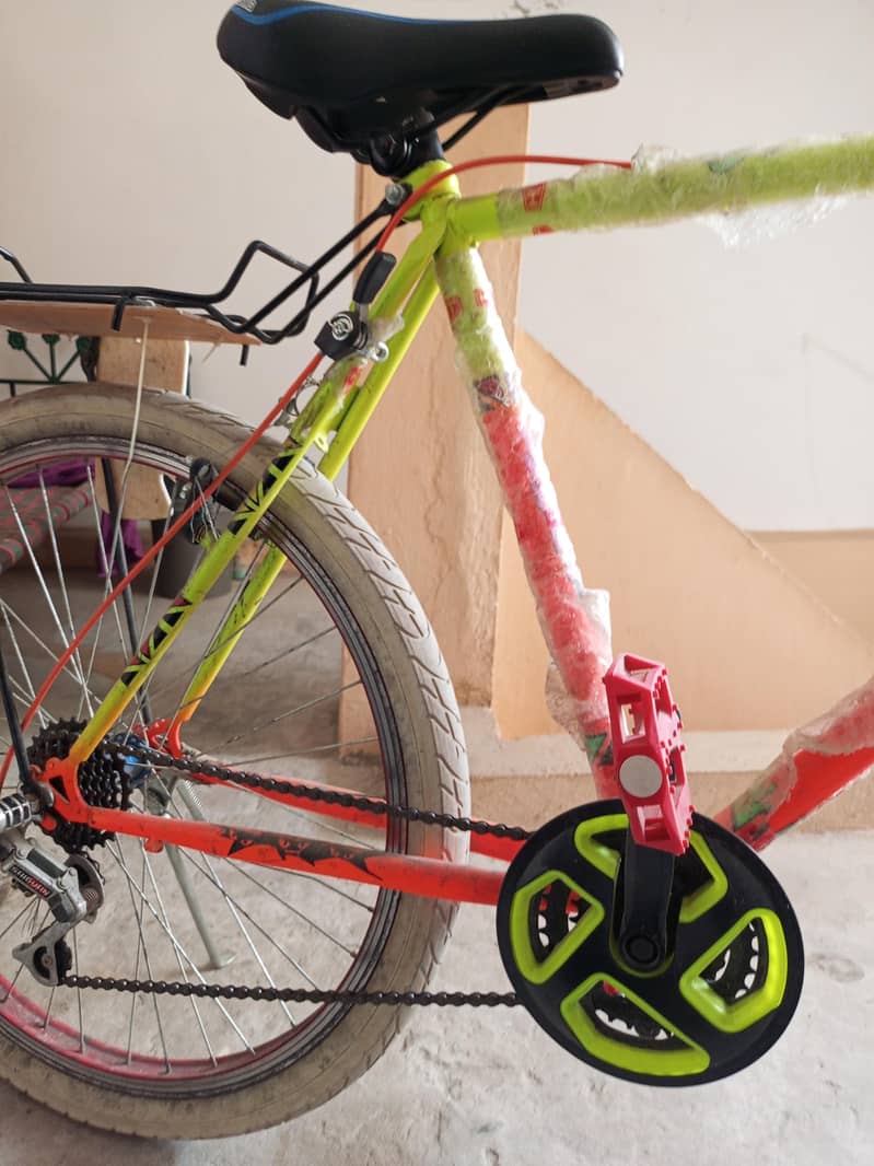 Phoenix Cycle 5