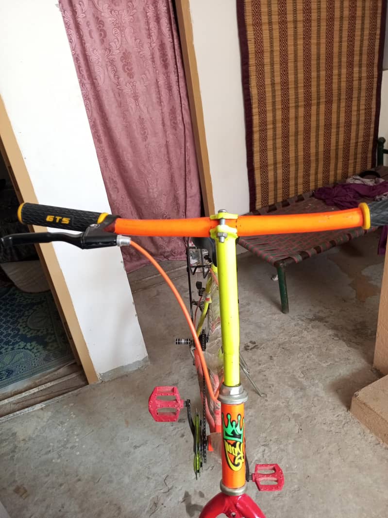Phoenix Cycle 6