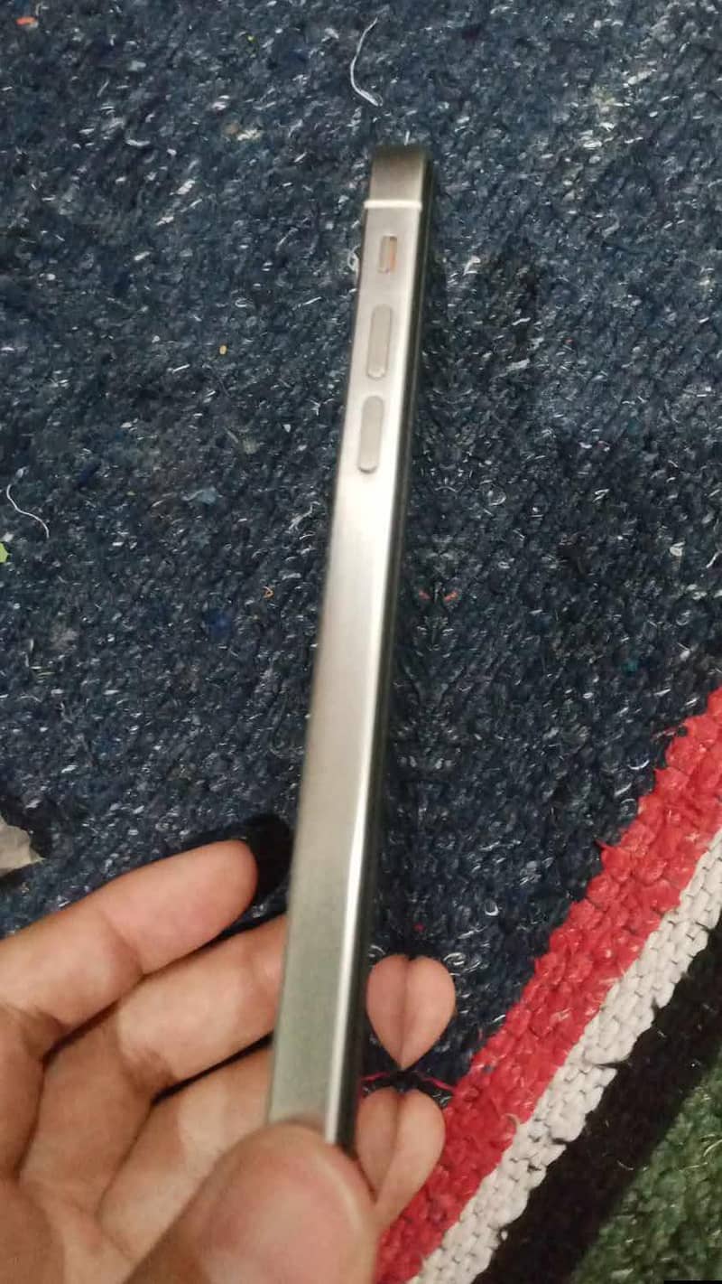 Apple iPhone 13 Pro Max 1