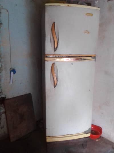 old model firj