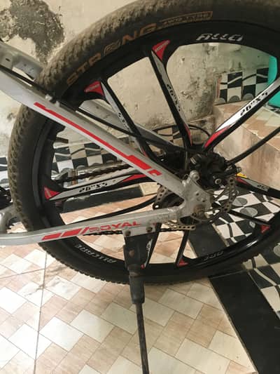 Mountain bicycle
