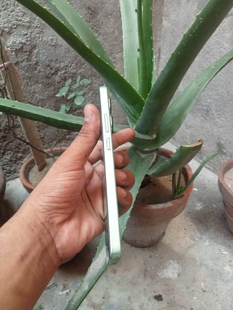 Xiaomi Redmi Note 13 Pro 1