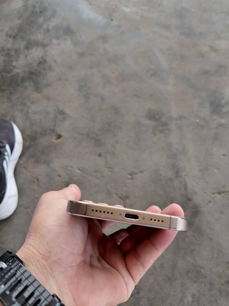 Apple iPhone 16 Pro Max 1