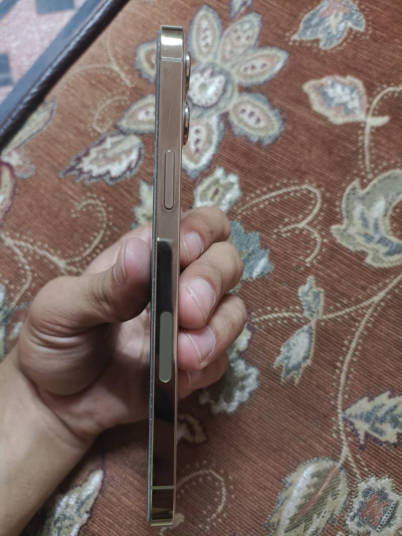 iphone 12 pro Max 3