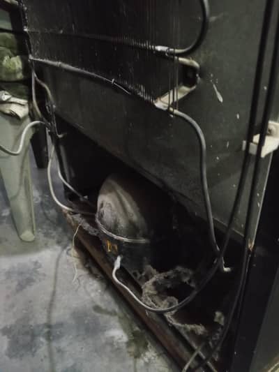 fridge
