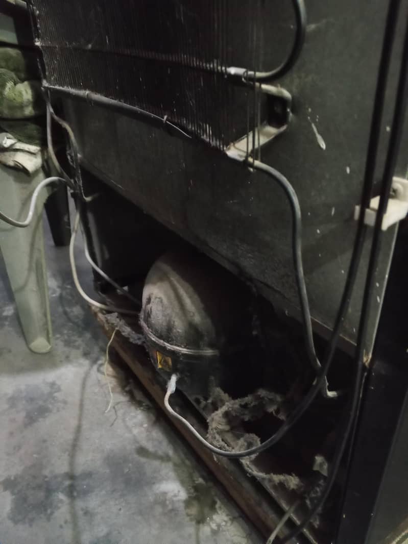 fridge 0