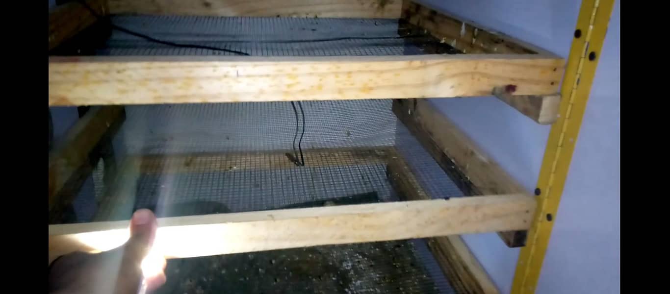 2 incubator 1 brooder 2