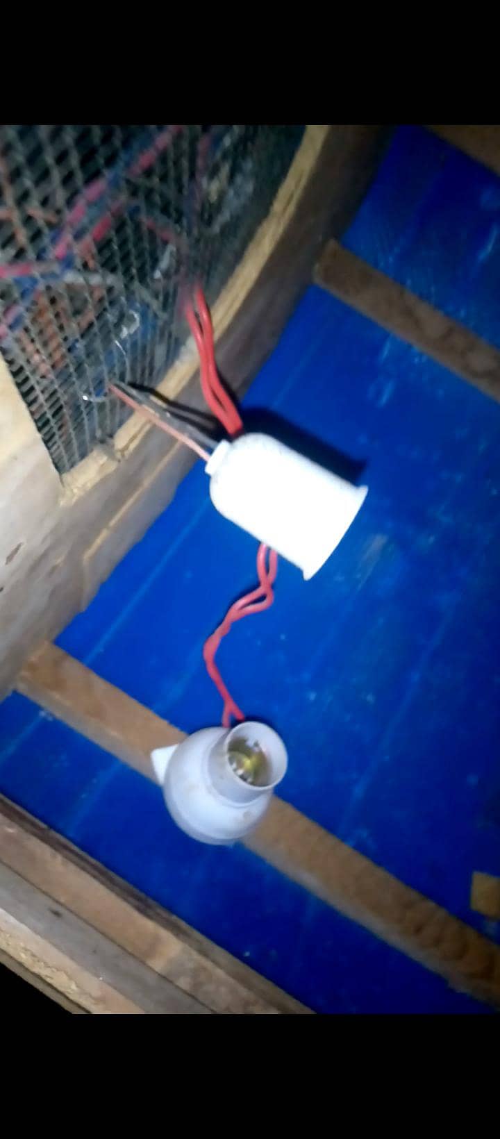 2 incubator 1 brooder 3