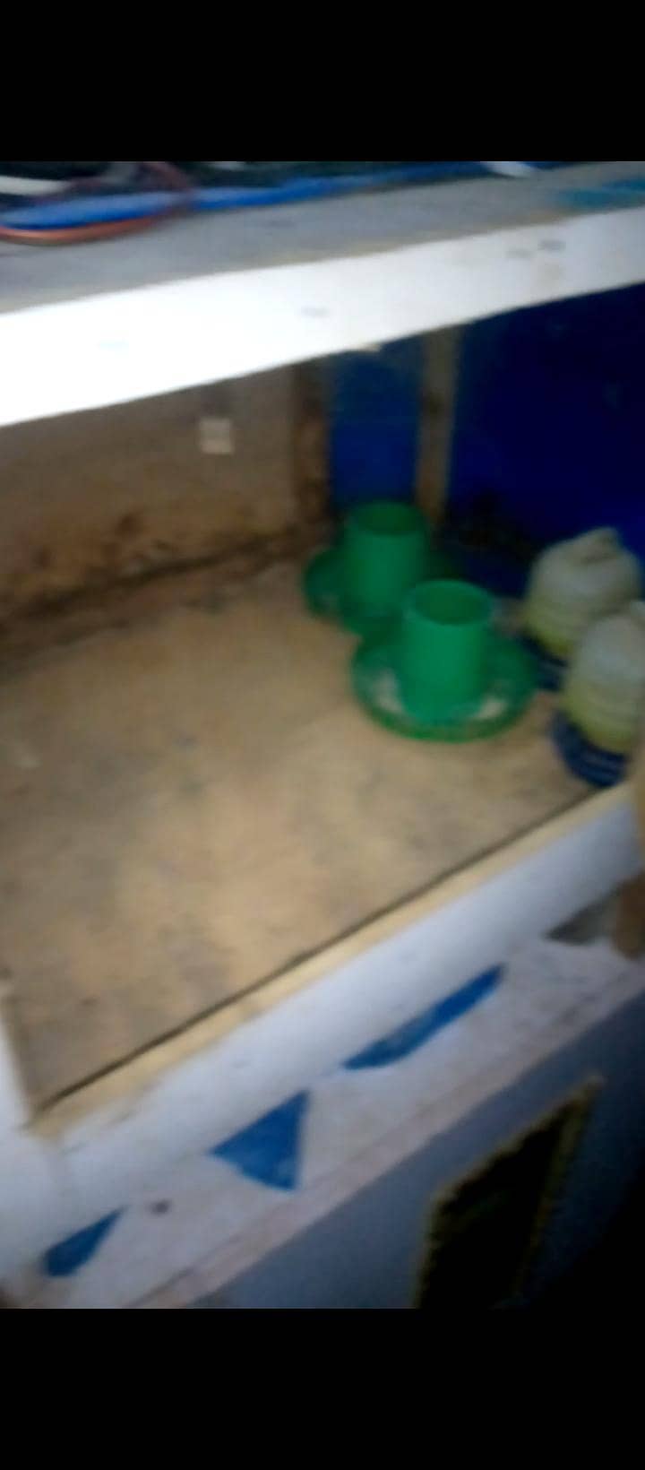 2 incubator 1 brooder 5