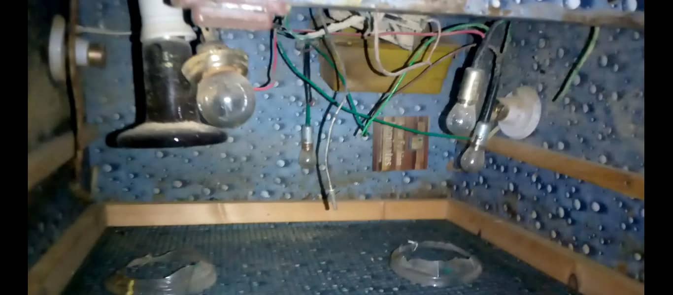 2 incubator 1 brooder 12