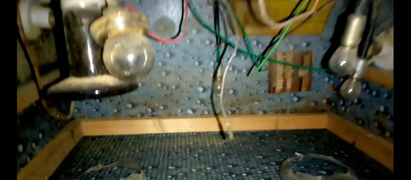 2 incubator 1 brooder 18
