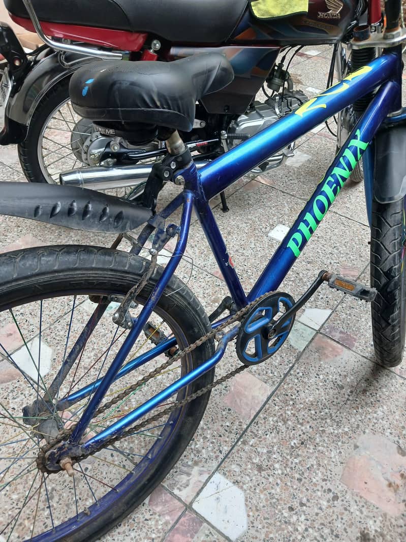 26 size cycle 0