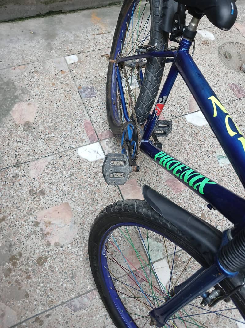 26 size cycle 2