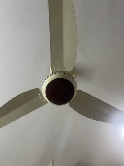 12 celing fans