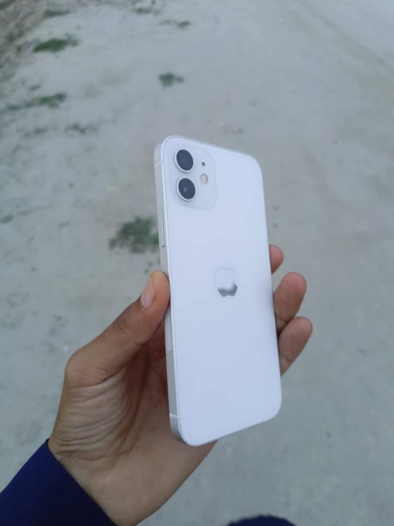 Apple iPhone 12 1