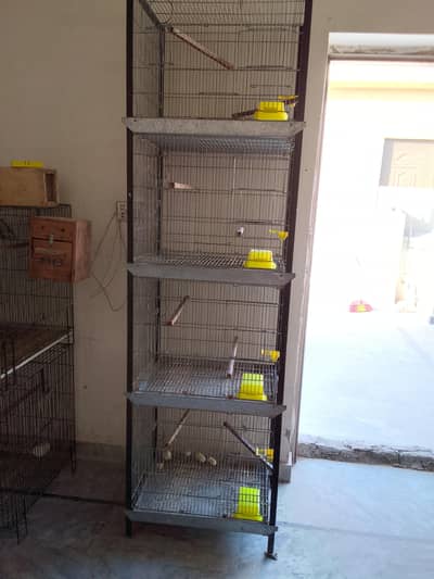 Galvanized 10Number Parrot Cage