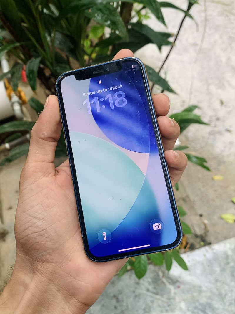 Apple iPhone 12 mini 1