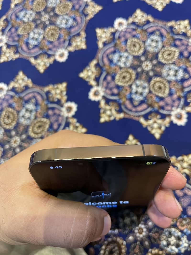 Apple iPhone 13 Pro Max 3