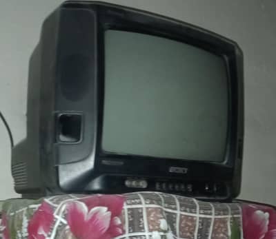 Sony TV.    old model