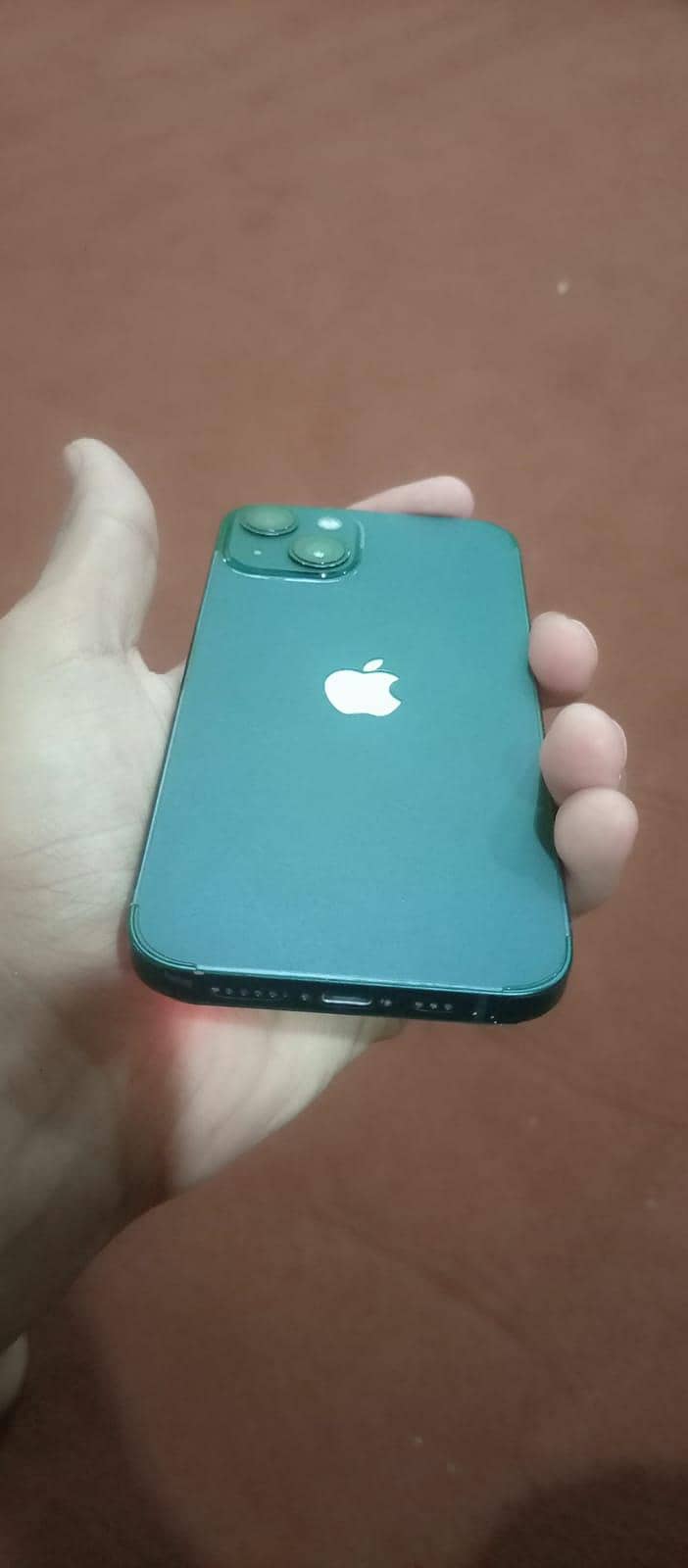 Apple iPhone 13 0