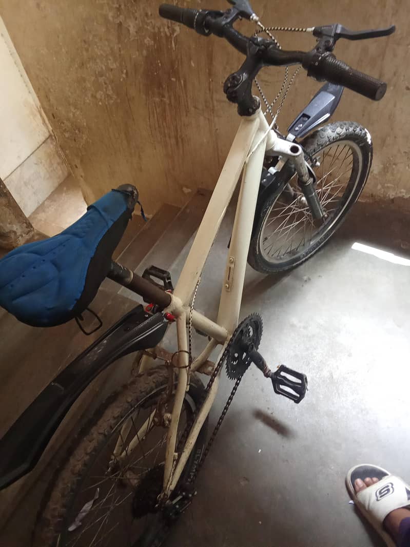 cycle 4