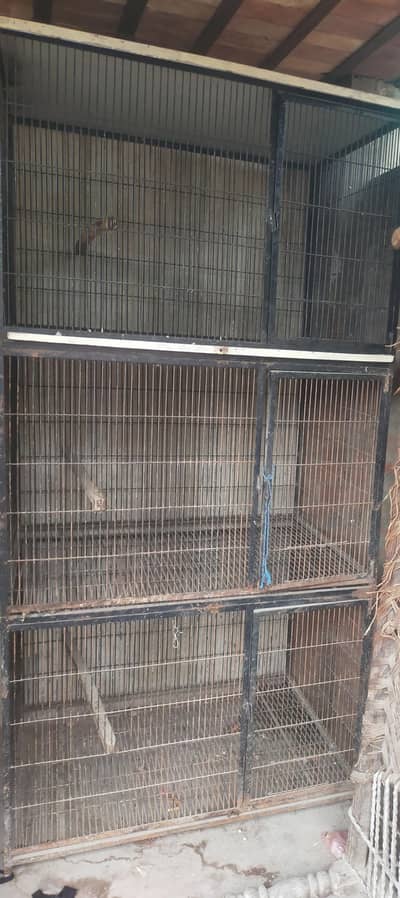 Grey Parrot Cage