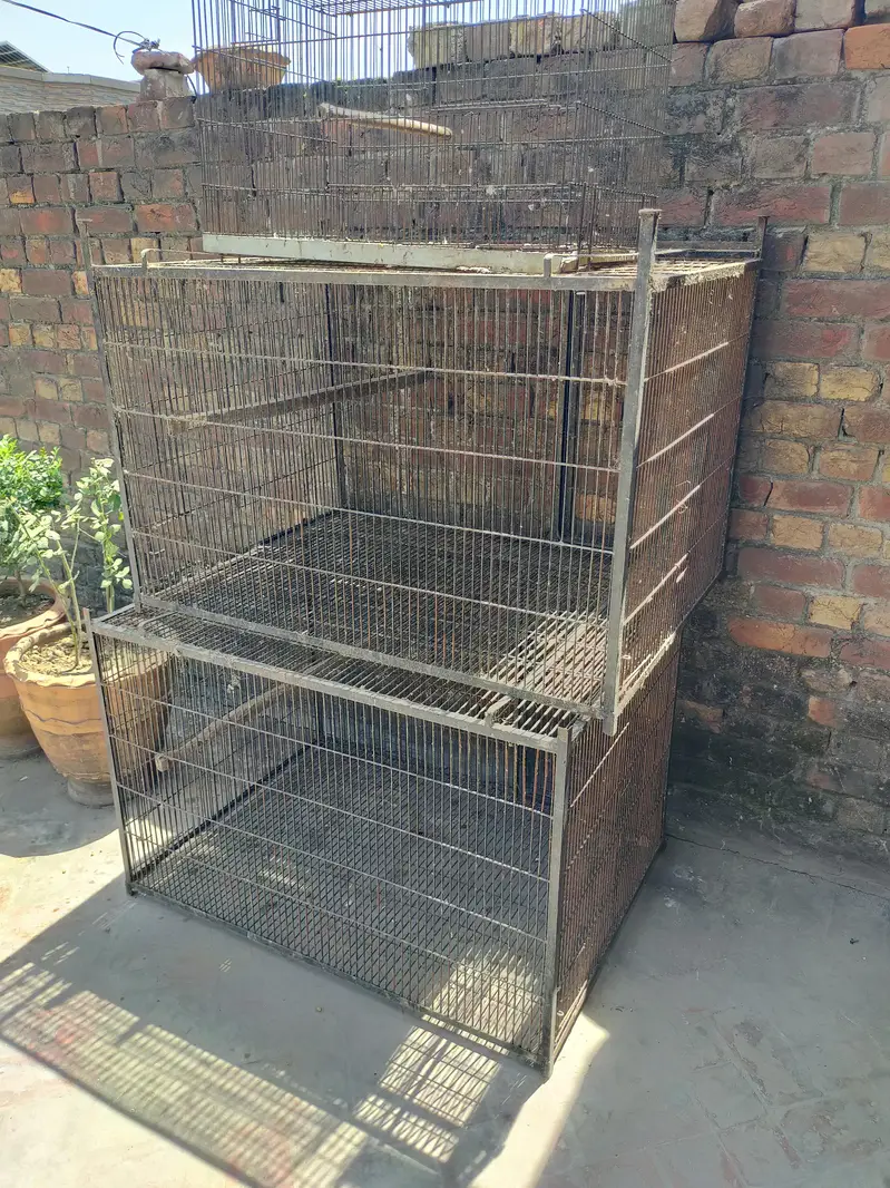 Grey Parrot Cage — photo 2
