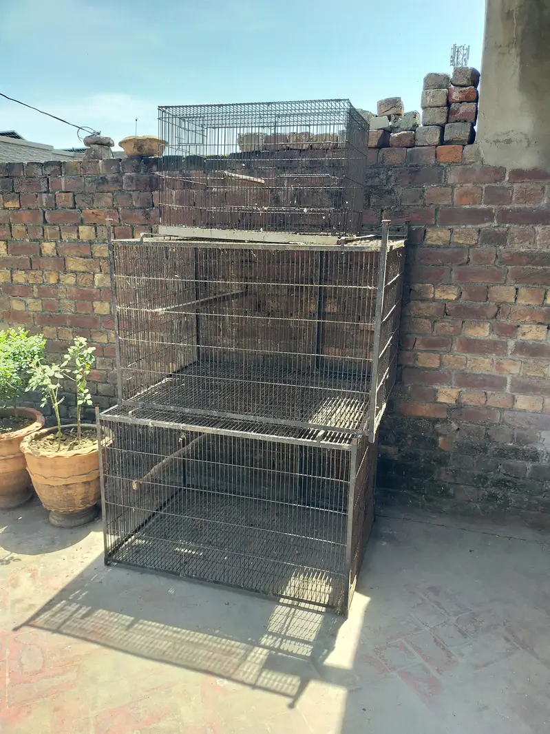 Grey Parrot Cage — photo 3