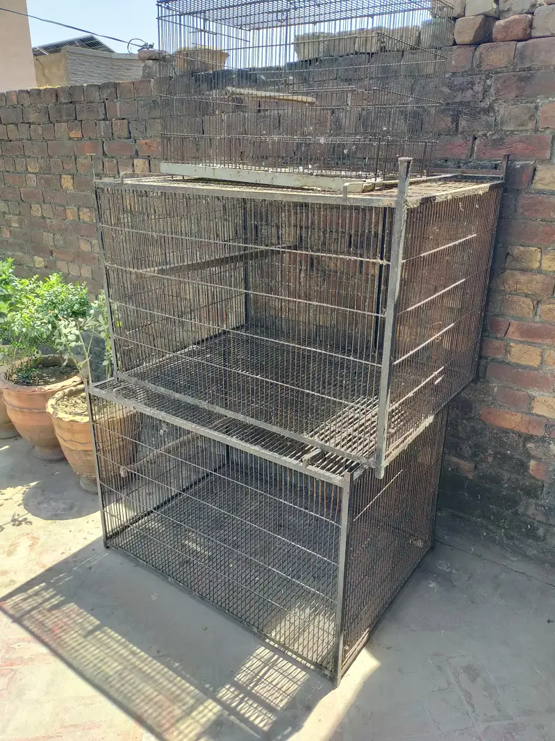 Grey Parrot Cage — photo 4