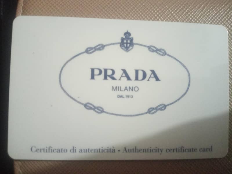 Prada bag 4