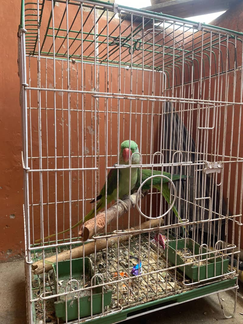 . . . . . 2