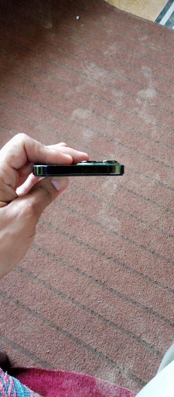 Apple iPhone 13 Pro Max 1