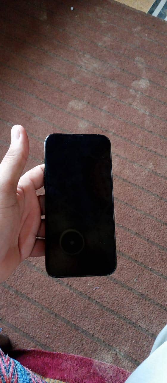 Apple iPhone 13 Pro Max 3
