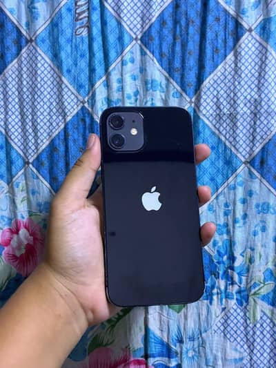 Apple iPhone 12
