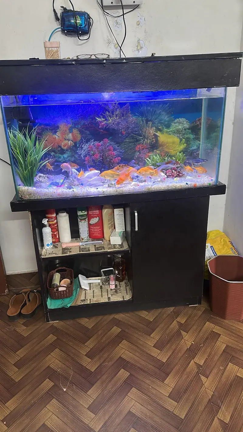 Aquarium With Fish — photo 4