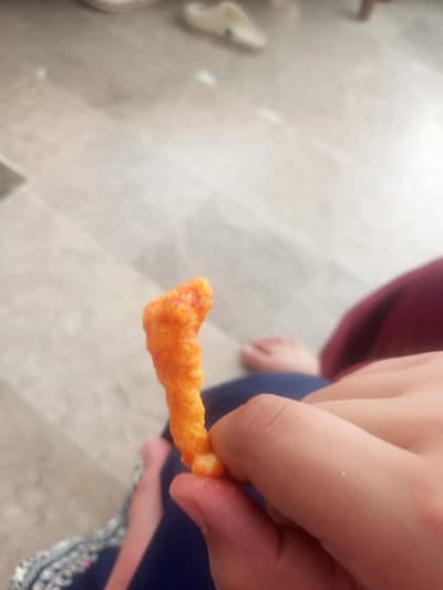 dinosaur korkora