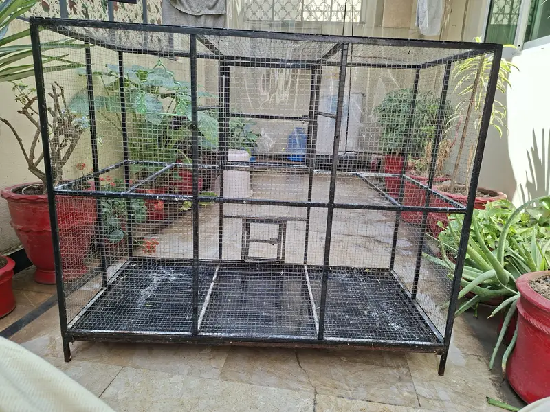cage for birds — photo 2