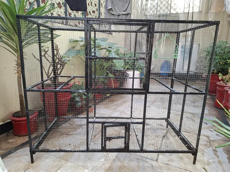 cage for birds — photo 4