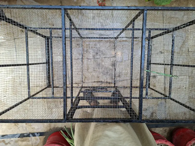 cage for birds — photo 6