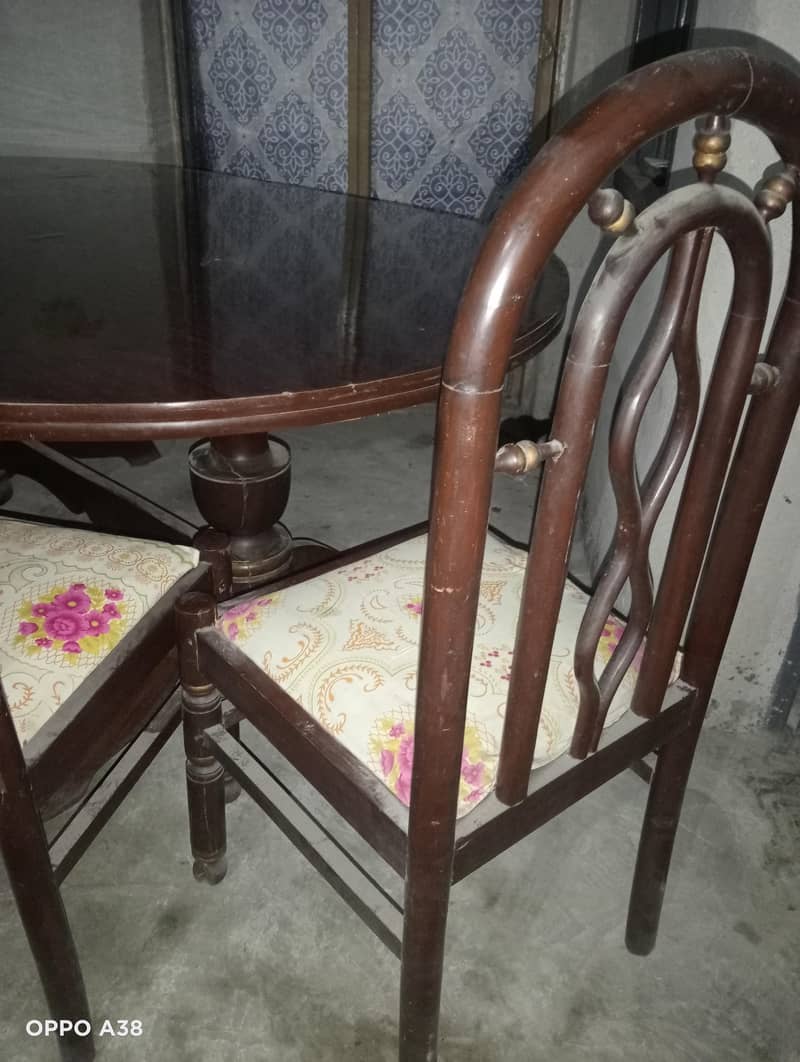 ڈینیٹیبل 5